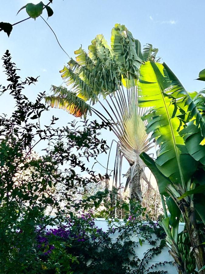 Villa Mango 150 Metres Plage A Pied Sainte-Luce Εξωτερικό φωτογραφία